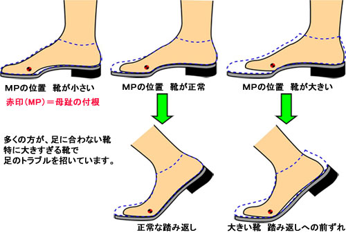 地質学 集団的 大学生 靴 中敷き 大きい Midori Kyo Jp